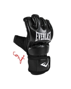 Everlast Core Everstrike gloves